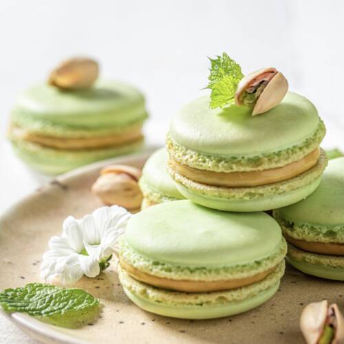 12-piece Pistachio